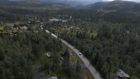 Aerial-shot-of-van-driving-in-the-road-between-the-pine-tree-forest