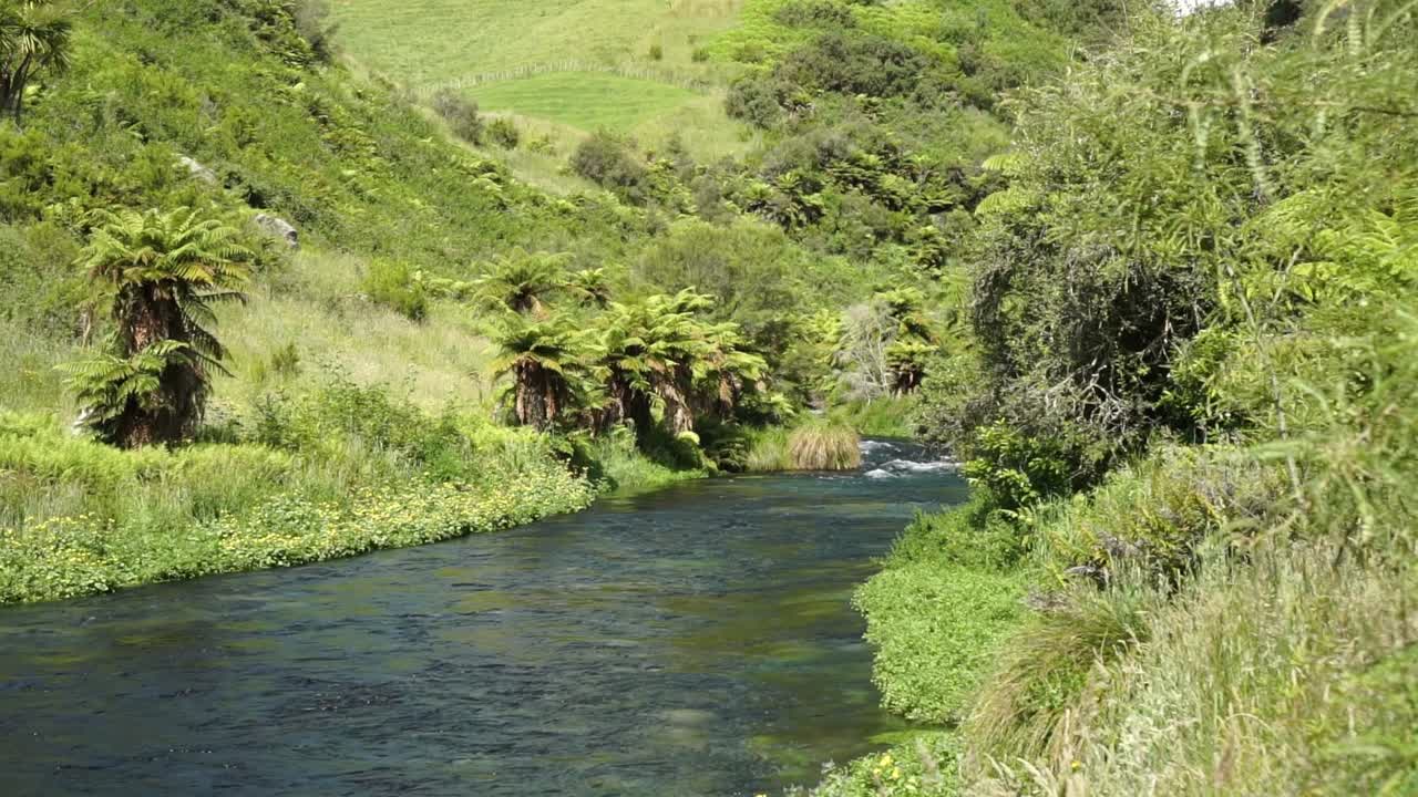 Peaceful scene of Te Waihou Putaruru Blue Spring in New Zealand