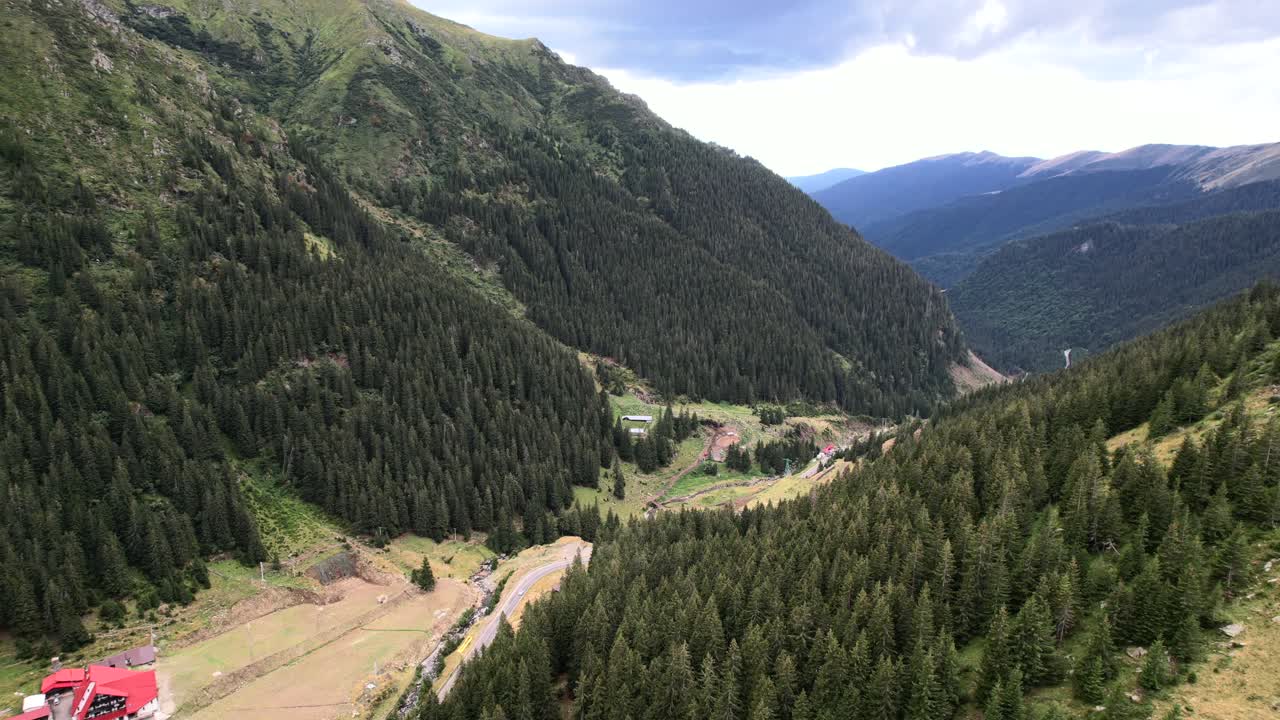 el denso y exuberante bosque de pinos cubre ambos lados de la carretera de la serpiente de transfagarasan en rumania.
