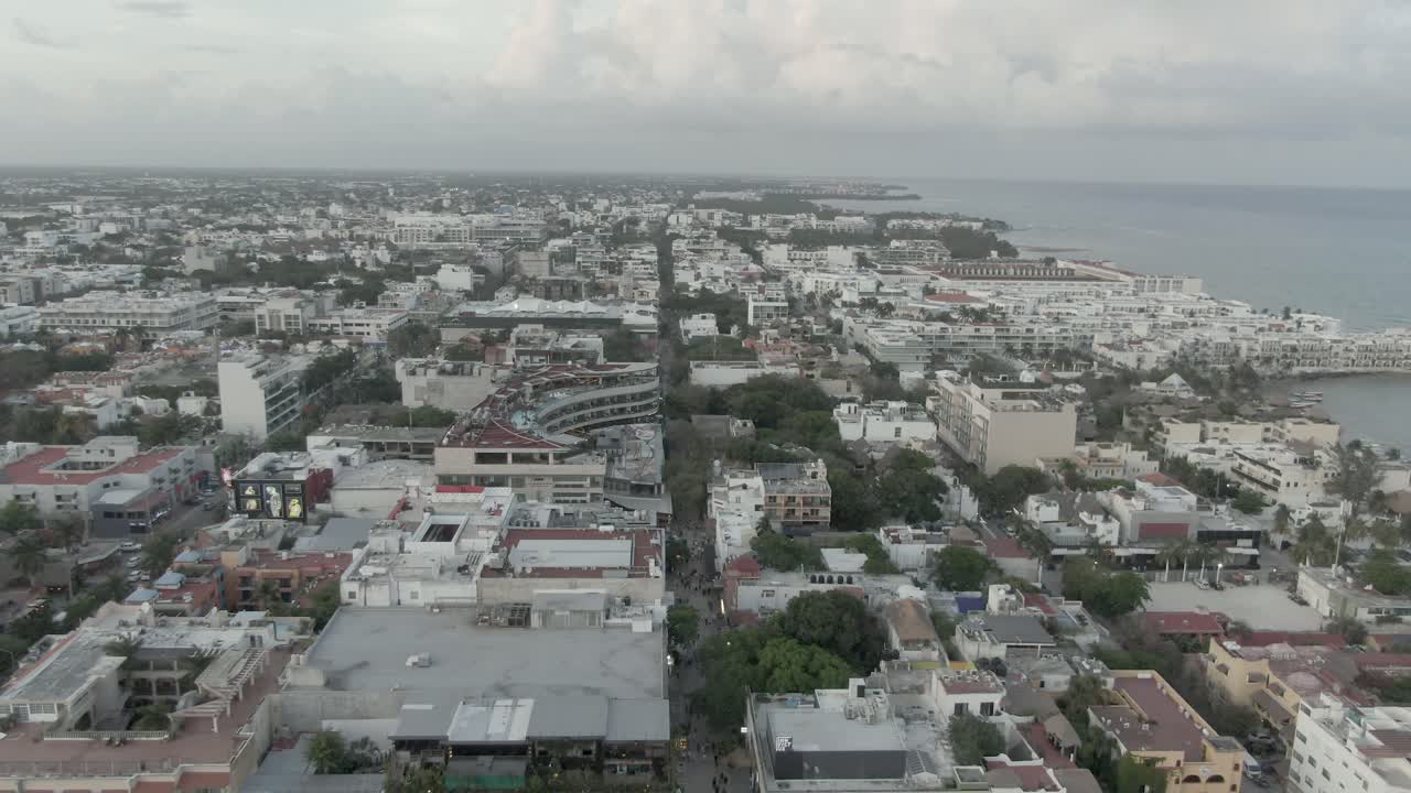 algas sargassum en la playa de playa del carmen quintana roo méxico