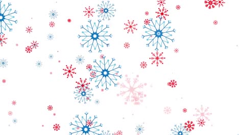 Animation-Roter-Und-Blauer-Weihnachtsschneeflocken,-Die-Auf-Weißen-Hintergrund-Fallen