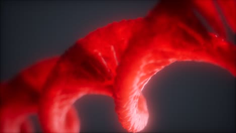 loop double helical structure of dna strand close-up animation