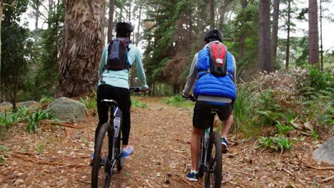 couple cycling together