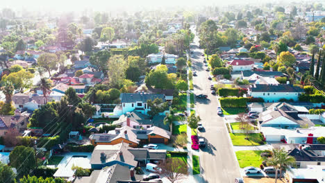 suburban houses surrounded by trees