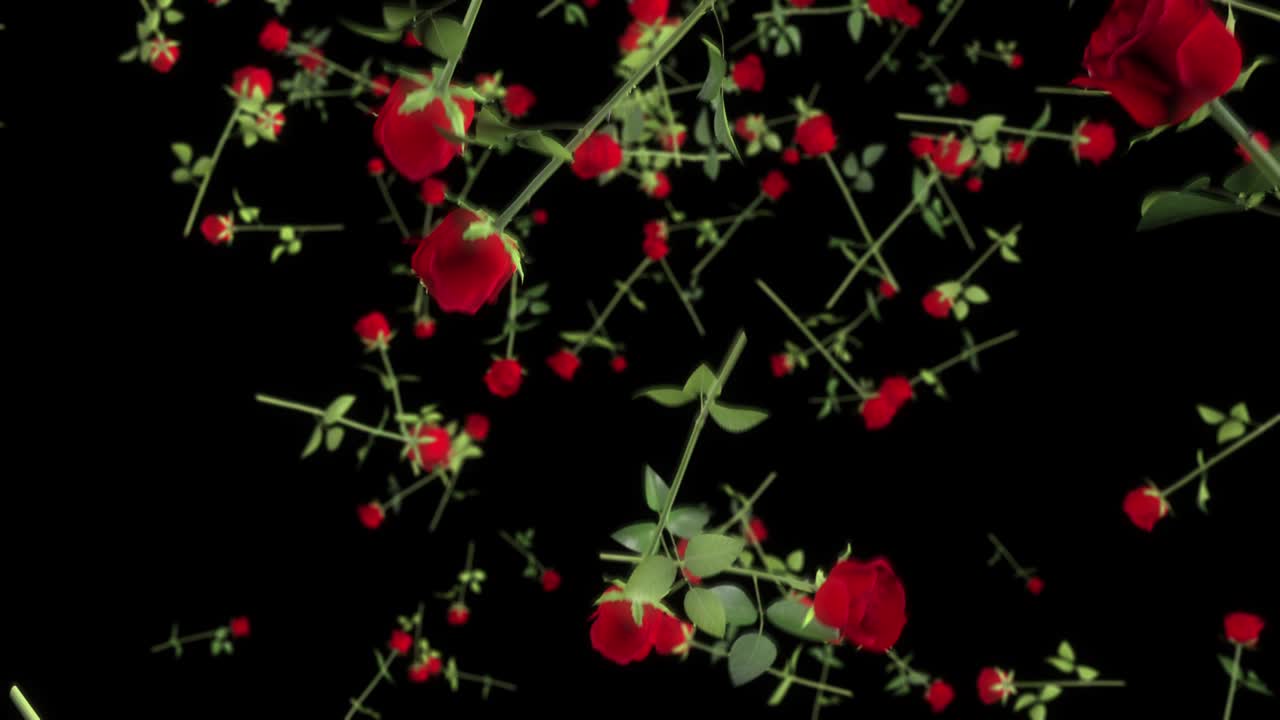 Falling 3D Roses 01