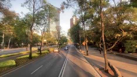 Toma-En-Cámara-Lenta-De-La-Avenida-Reforma-En-La-Ciudad-De-México-A-Su-Paso-Por-El-Bosque-De-Chapultepec