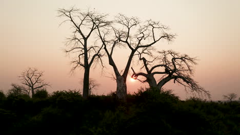 traveling up go to, drone 4k ,sunset in africa, angola, africa 12