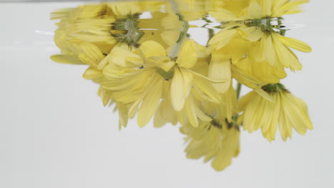 a bunch of yellow daisy soaked in transparent water