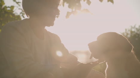 dog owner squatting on grassy field, gently rubbing dog s head with a grooming glove while holding its leash, smiling affectionately under warm sunlight, creating a soft silhouette effect