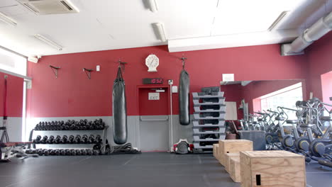 a well-equipped gym awaits fitness enthusiasts, with copy space