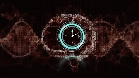animación de reloj en movimiento sobre una cadena de adn con cerebro digital y formas púrpuras sobre fondo negro.