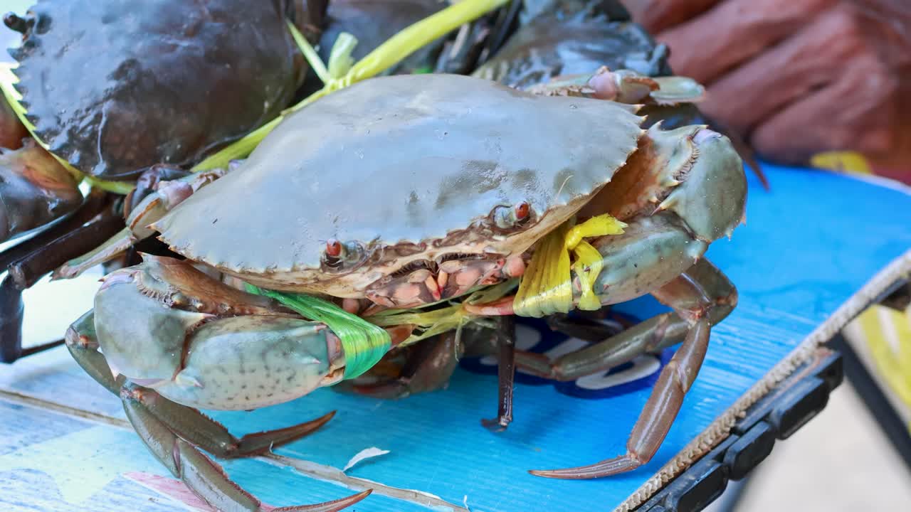 Close-up of crabs tied and displayed on a table at a seafood market in Phuket, Thailand. Bright lighting highlights details