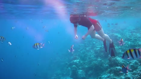 Snorkeler-Coral-reef-in-the-Maldives