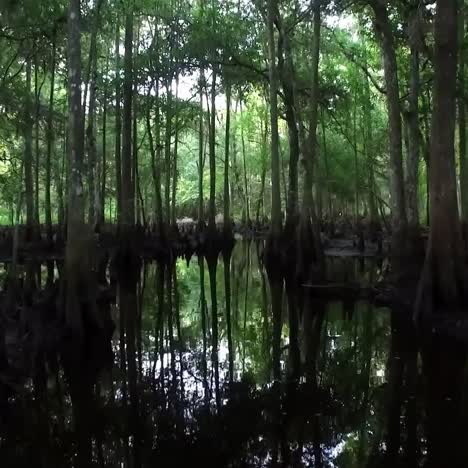 POV-shot-traveling-through-a-dark-cypress-swamp