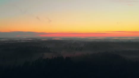 Deslumbrante-Tiro-De-Foque-Del-Bosque-Verde-Salvaje-Al-Atardecer,-Europa-Del-Este