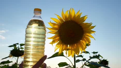 Farmer Holding a Bottle of Sunflower Oil during a Sunny Beautiful Day the Hand of a Young Farmer Holds a Plastic Bottle with Fresh Sunflower Oil against Green Plants with Large Yellow Flowers