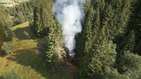 farmers burning tree branches in a controlled fire in vik i sogn, norway