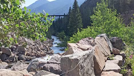 handheld nature video taken in colorado near breckenridge.