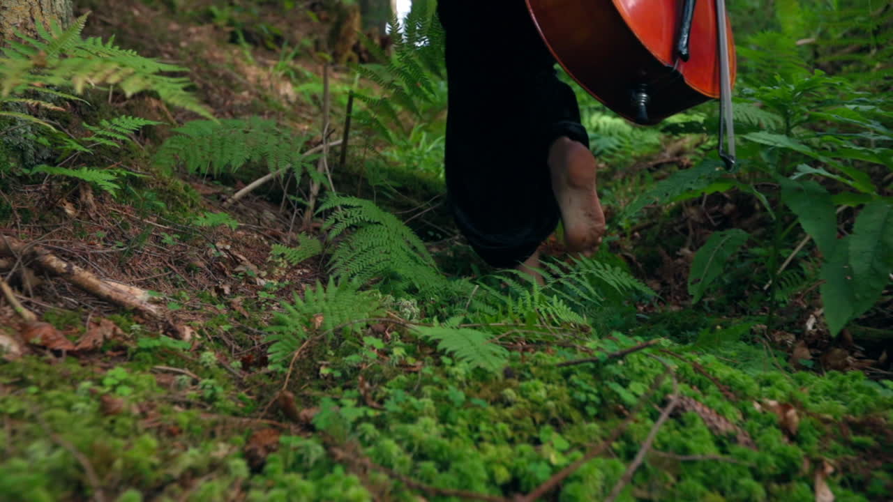 Legs of a woman and musical instrument outdoors. Bare feet of a female walking in the green woods. Woman holds red cello while walking in forest. Close-up.