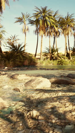 oasis in the desert with palm trees and clear blue sky