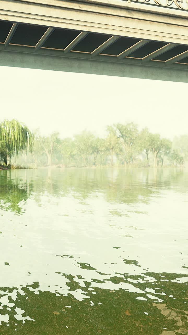 강을 가로지르는 다리, 반대편의 나무와 공중의 안개