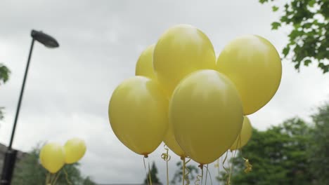 primer plano de una fiesta en el jardín con globos