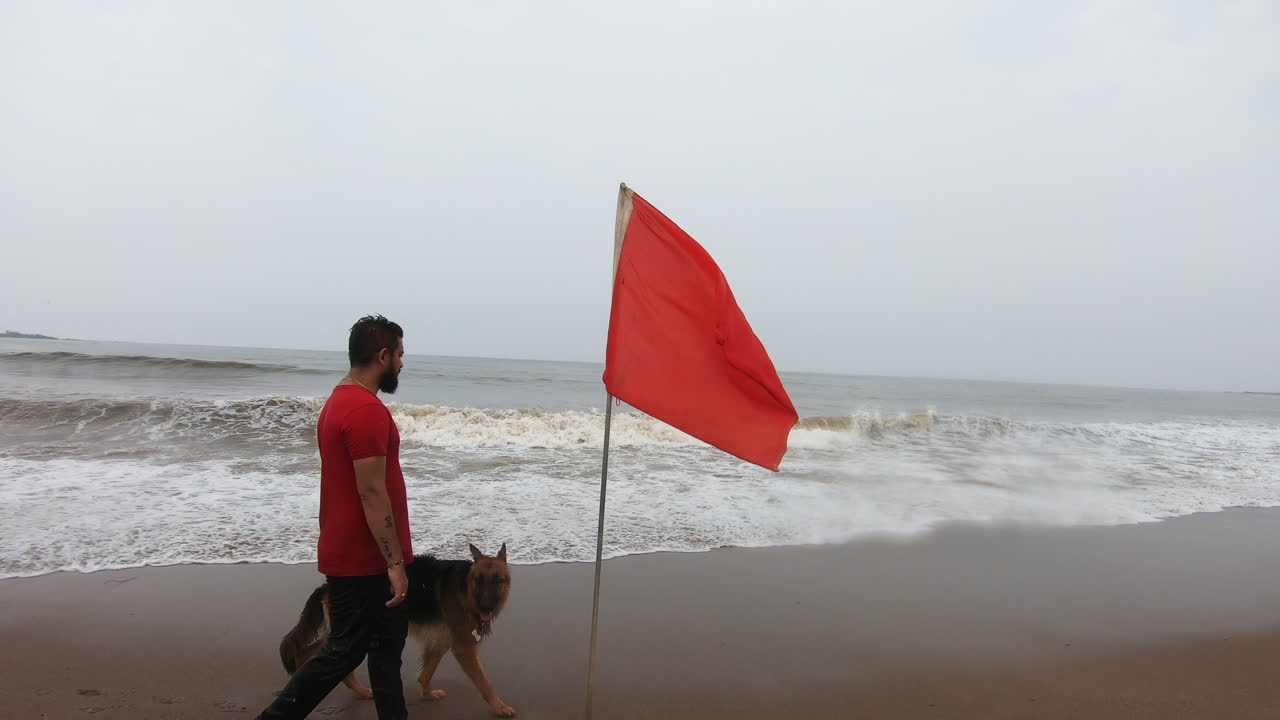 German shepherd dog on the beach playing with his owner near red flag