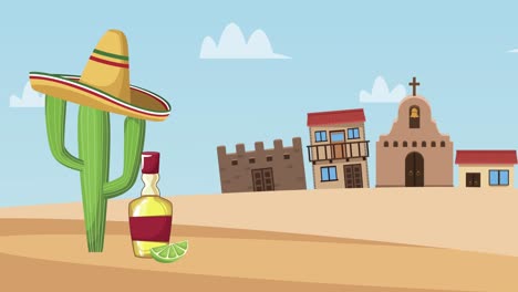 cactus y tequila en el pueblo
