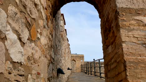 cesme castle, locally known as cesme kalesi, lies at the harbour of the cesme town in the province of izmir in turkey.