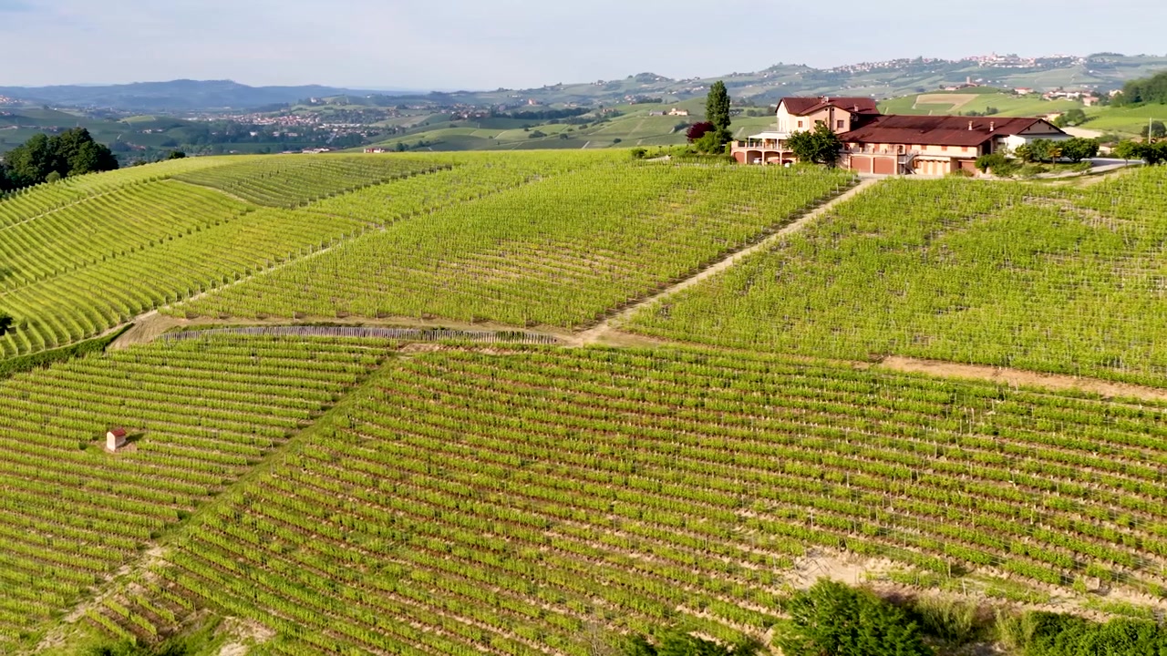 Vue aérienne de vignobles verdoyants et d'un domaine viticole dans le Piémont, Italie