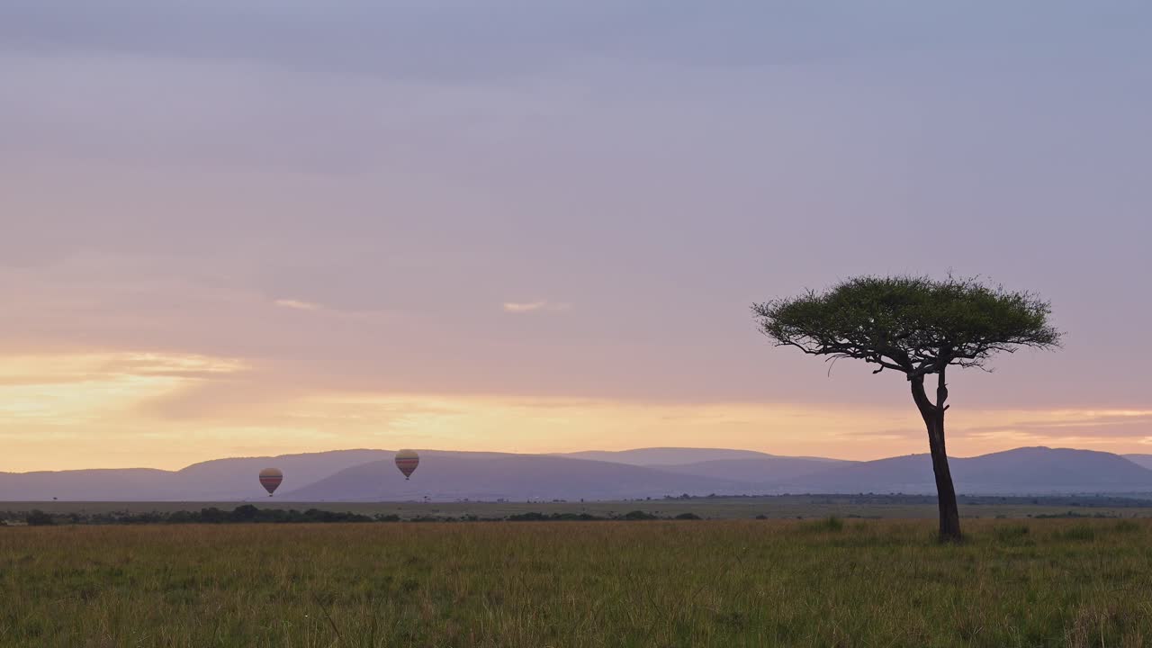 bela paisagem de passeio de balão de ar quente sobre montanhas e árvores de acácia, paisagem africana na reserva nacional de masai mara, quênia, áfrica turismo de safari na reserva nacional de masai mara norte