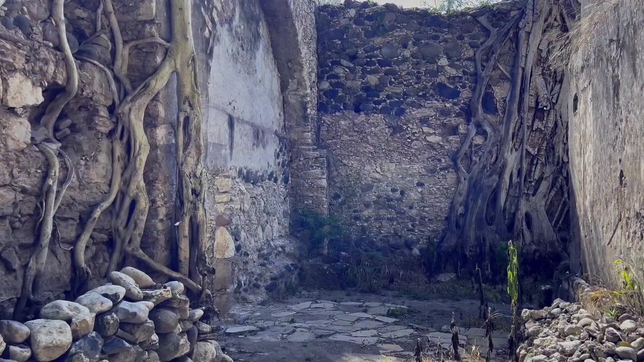 Rovine di un'hacienda abbandonata con muri in pietra consumati e radici esposte che crescono attraverso la struttura. Un sentiero stretto in pietra conduce tra vecchi muri con vegetazione e luce solare a Morelos, Messico