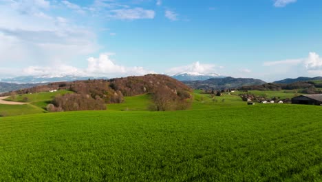 Drone-shot-over-green-meadows-in-the-foothills-of-the-Chartreuse-massif,-mountain-with-snow-in-the-background