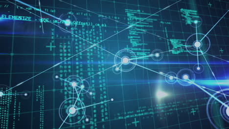 Animation of network of connections over data processing