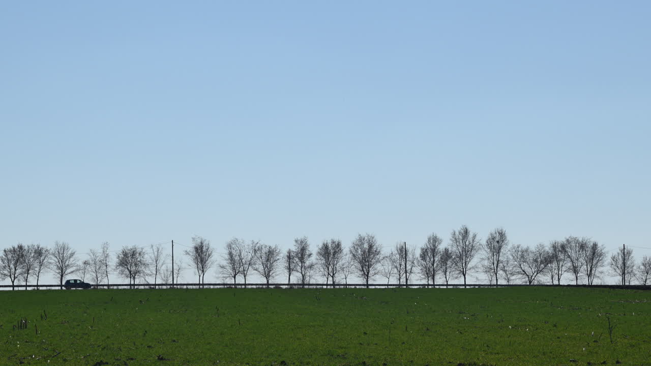 나무선으로 둘러싸인 시골 도로의 자동차