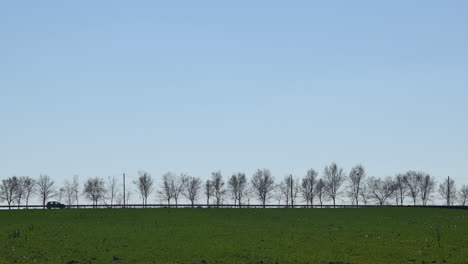 coches en el camino del país rodeado de árboles