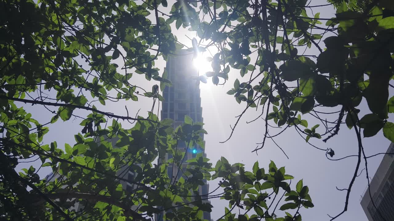 Heller Sonnenstrahl scheint durch üppig grüne Äste mit einem hohen modernen Wolkenkratzer im Hintergrund von Kolkata, Indien