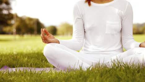 pretty brunette doing yoga in park