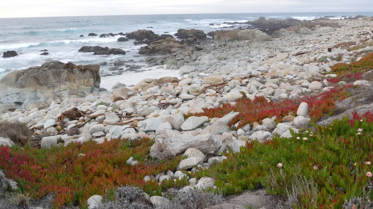 Rocky craggy ocean coast, sea water waves crashing on rocks, Monterey California