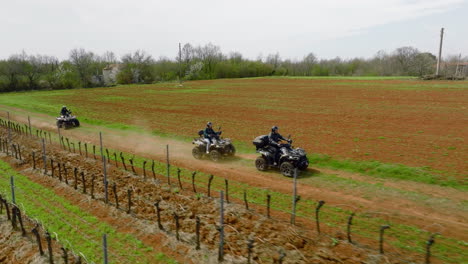 aerial tracking shot of quad bikes riding through vineyards in central istria, croatia