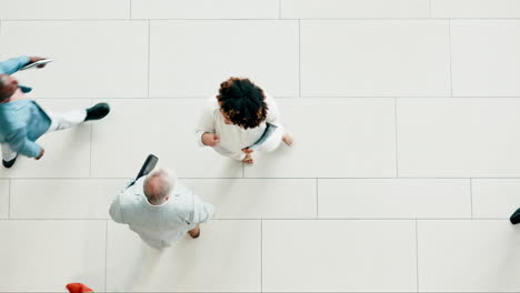 above, high five and business people in an office