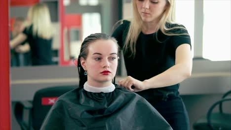 hairdresser styling a wet woman's hair