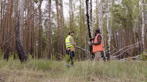 caucasian man activist and african american man holding a tablet in the forest while they deciding where to plant trees