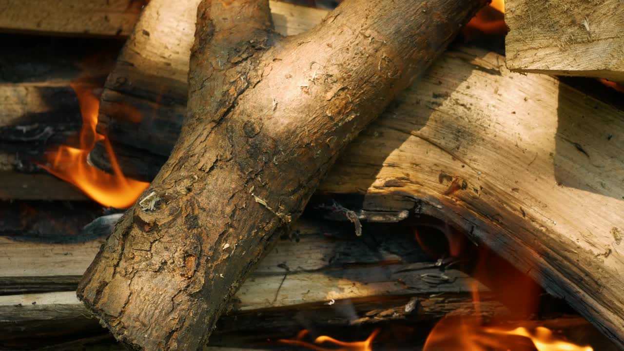 나무 위에 있는 아름다운 불꽃.