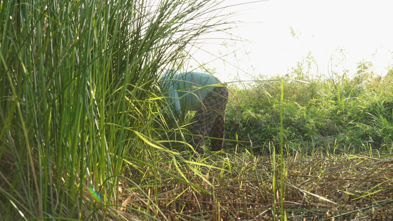 una mujer hábil reúne hábilmente materiales naturales con una mano practicada, imbuyendo cada pieza con un sentido de historia y tradición mientras se prepara para fabricar un hermoso colchón hecho a mano