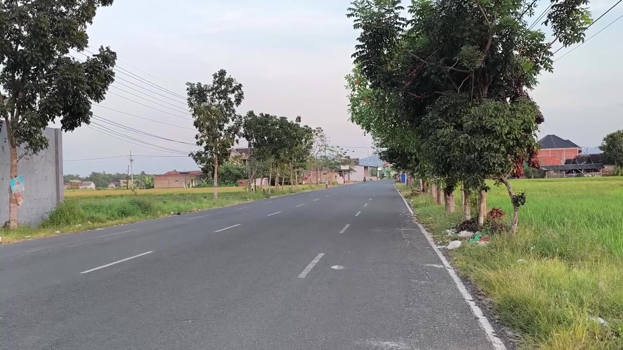 Jalan Aspal Sepi Melintasi Pemandangan Pedesaan dengan Sawah Hijau