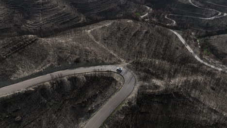 Aerial-View-Of-Car-Traveling-On-Country-Road-Surrounded-With-Burnt-Forest-In-El-Pont-de-Vilomara,-Spain---drone-shot