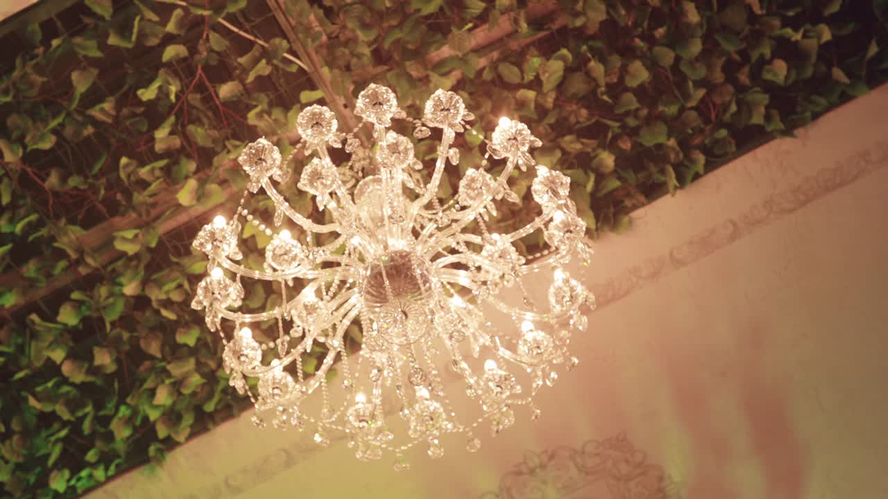 hermosa araña de cristal