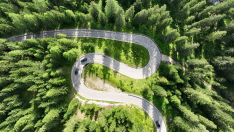 cars and bicycles driving along curved serpentine road in green coniferous forest