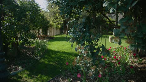 small and beautiful private orchard in backyard on sunny day, motion view